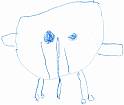 elefant 5009
